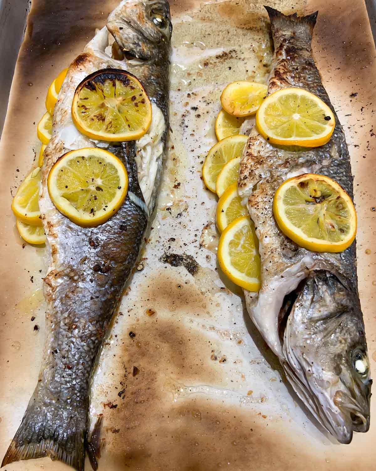 Two whole roasted branzino with lemon and shaved fennel salad on a parchment-lined baking sheet.
