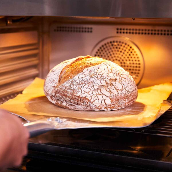 Anova Precision Oven with bread.