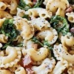 Curly pasta, arugula, pancetta, ina creamy cheese sauce dotted with pepper.