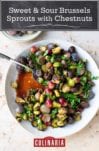 A white bowl filled with sweet and sour brussels sprouts with chestnuts and a serving spoon resting inside.