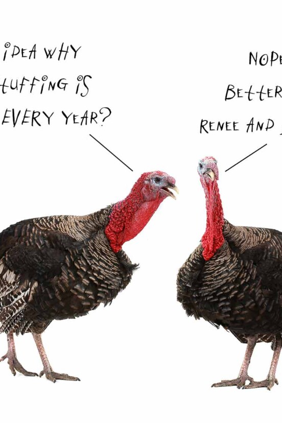An image of two turkeys talking to each other for the podcast Talking With My Mouth Full, Ep. 37: Your Thanksgiving Questions Answered, 2020 Edition.