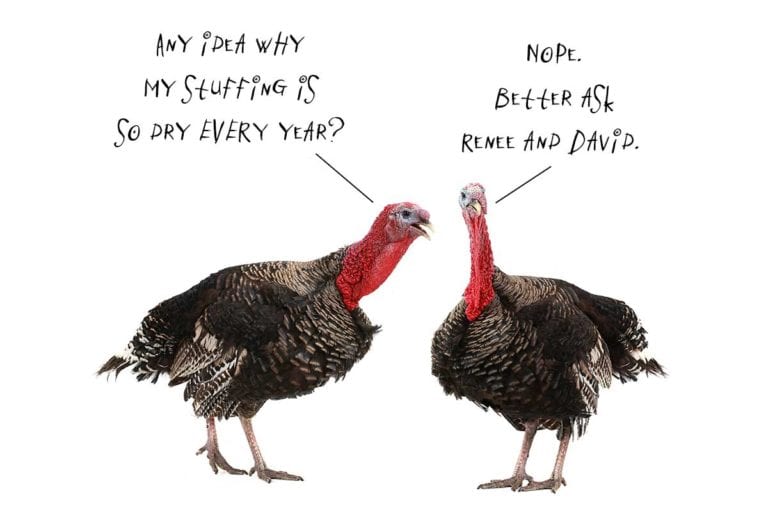 An image of two turkeys talking to each other for the podcast Talking With My Mouth Full, Ep. 37: Your Thanksgiving Questions Answered, 2020 Edition.