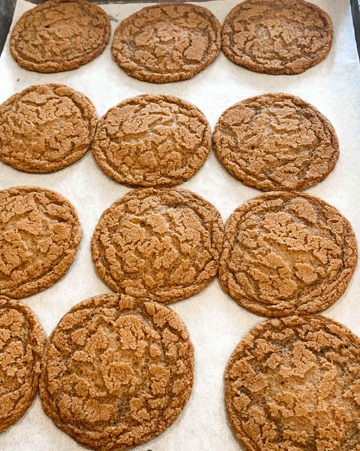 Twelve chewy molasses cookies on a baking sheet.
