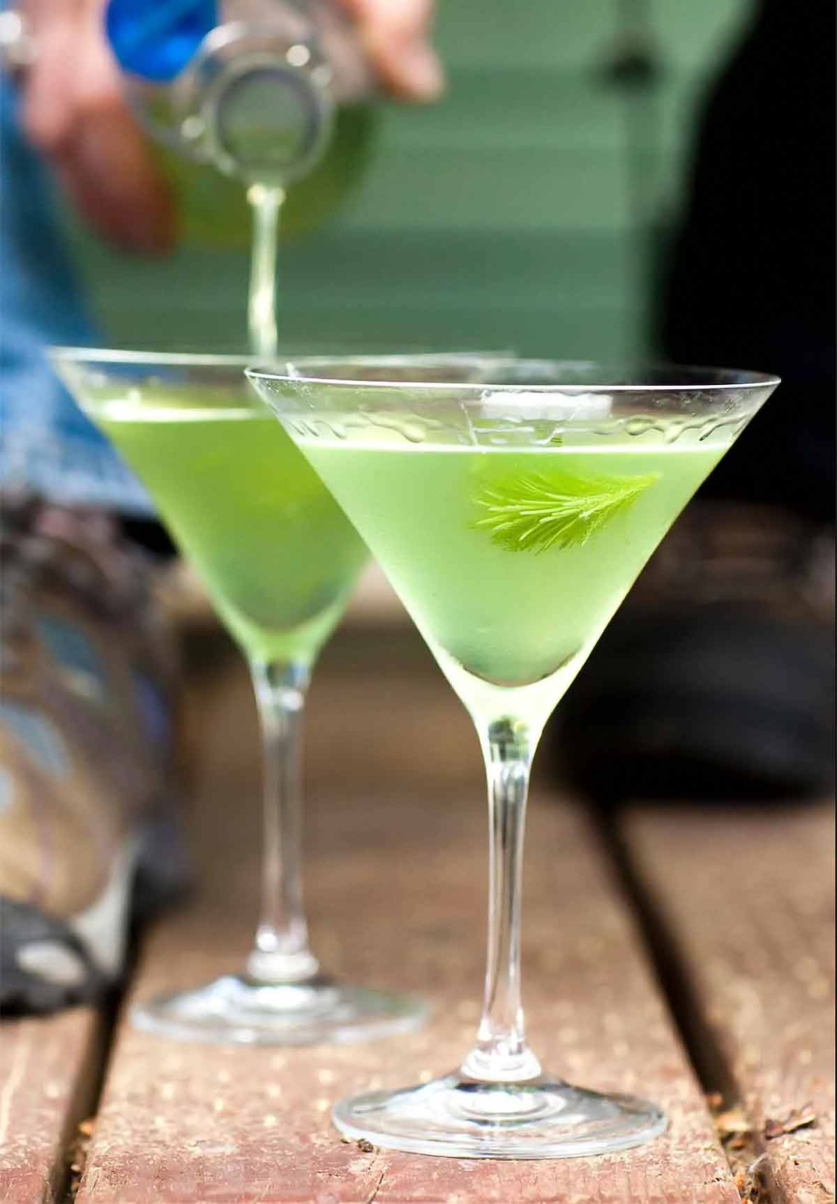 Two martini glasses filled with spruce needle vodka with a spruce sprig floating in each glass.