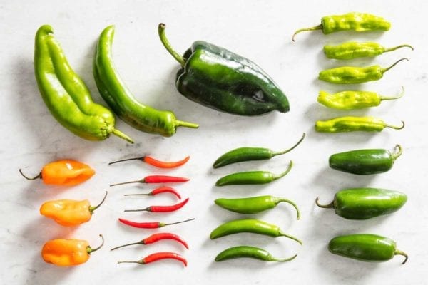 What's the Difference Among Chile Peppers? | Leite's Culinaria