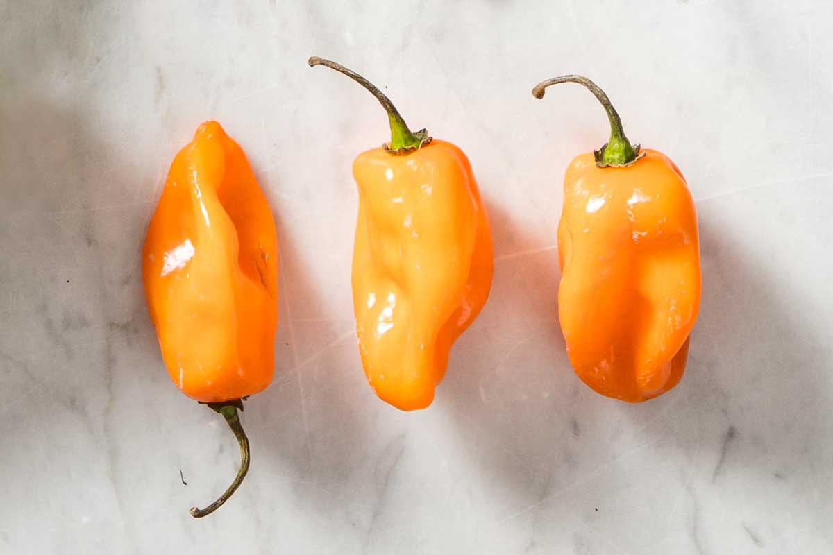 Three habanero peppers as illustration for 'what's the difference among chile peppers?'
