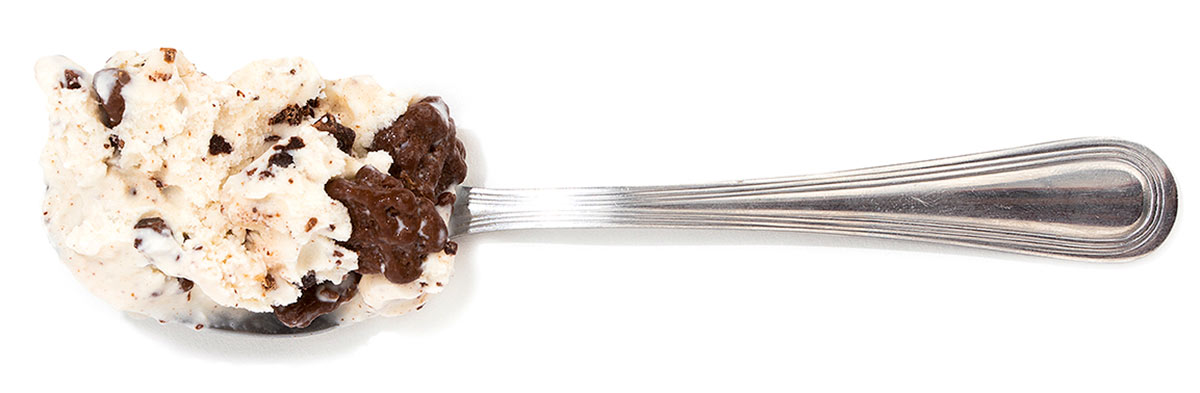 A spoonful of White House chocolate chip ice cream.