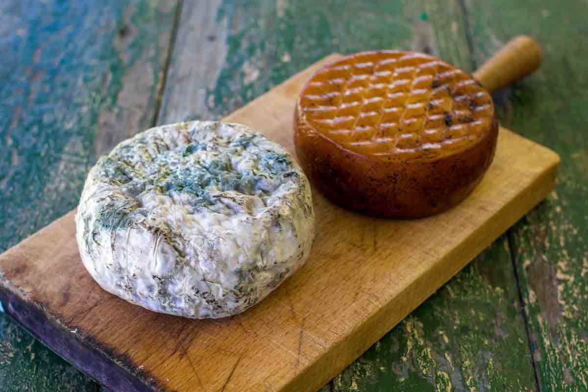 Two cheese rounds with mold on a wooden board for the writing '5 myths about cheese you shouldn't believe'.