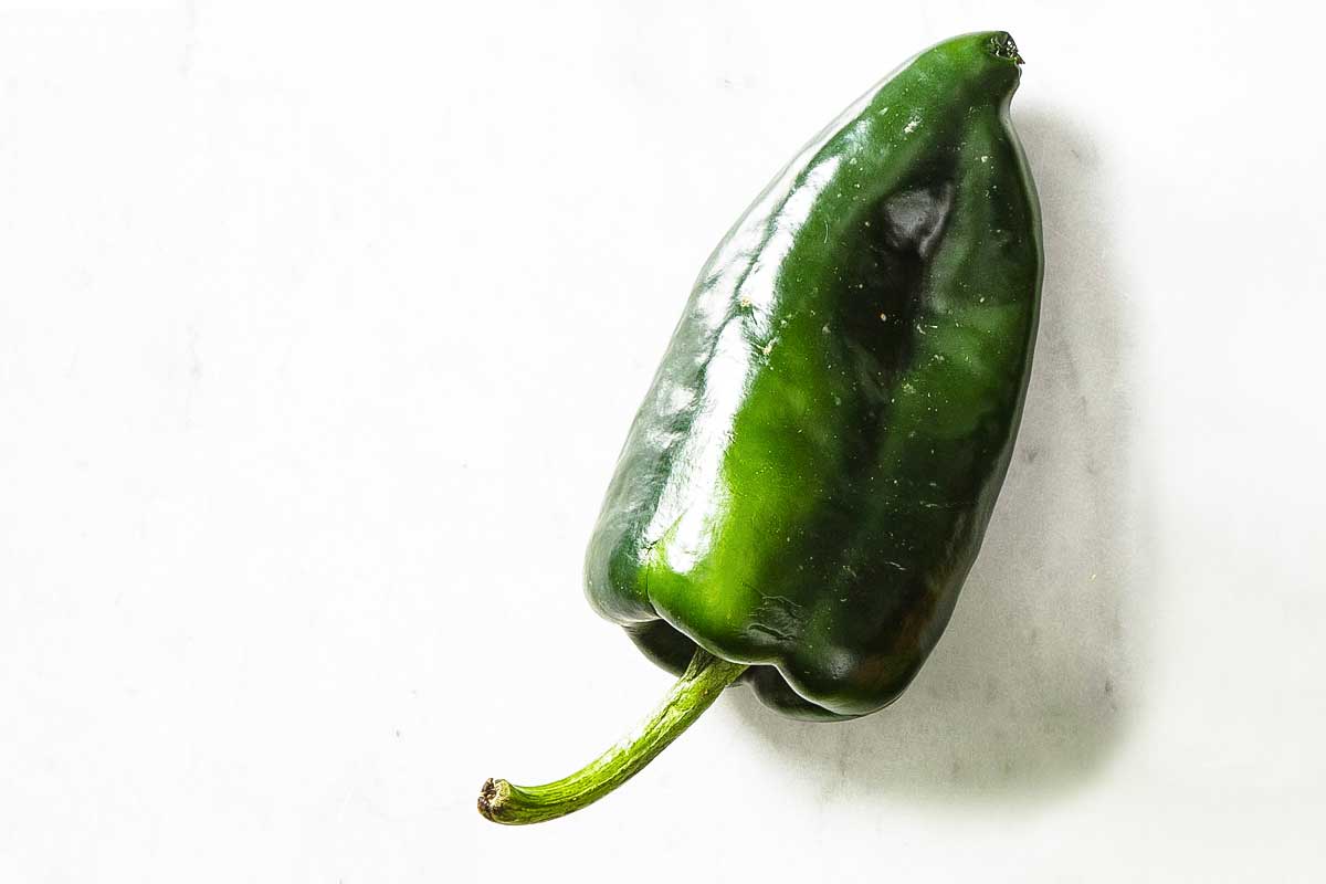 A poblano pepper as illustration for 'what's the difference among chile peppers?'