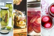 Images of four of the 11 unexpected pickles recipes -- pickled green tomatoes, pickled shrimp, pickled shallots, and pickled eggs.