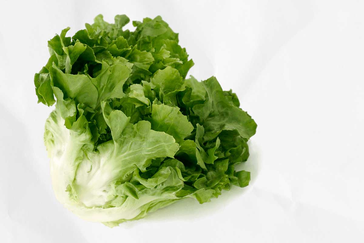 A head of escarole, as illustration of how to choose the right salad greens for you.