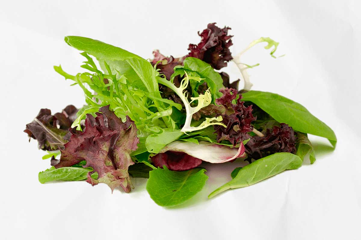 A pile of mesclun, as illustration of how to choose the right salad greens for you.