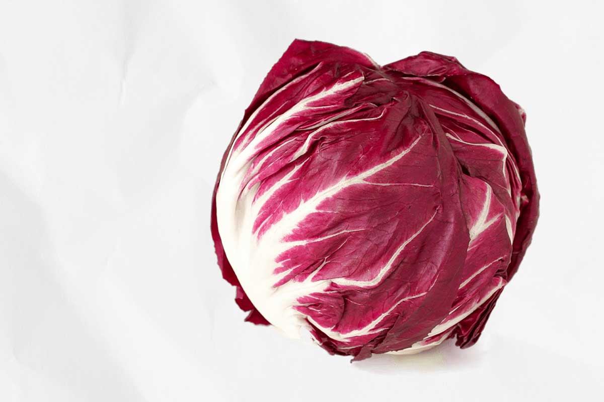 A head of radicchio, as illustration of how to choose the right salad greens for you.