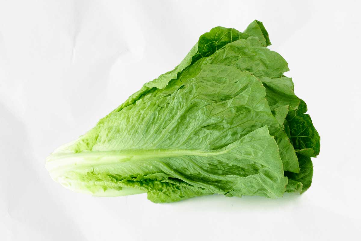 A head of romaine lettuce, as illustration of how to choose the right salad greens for you.