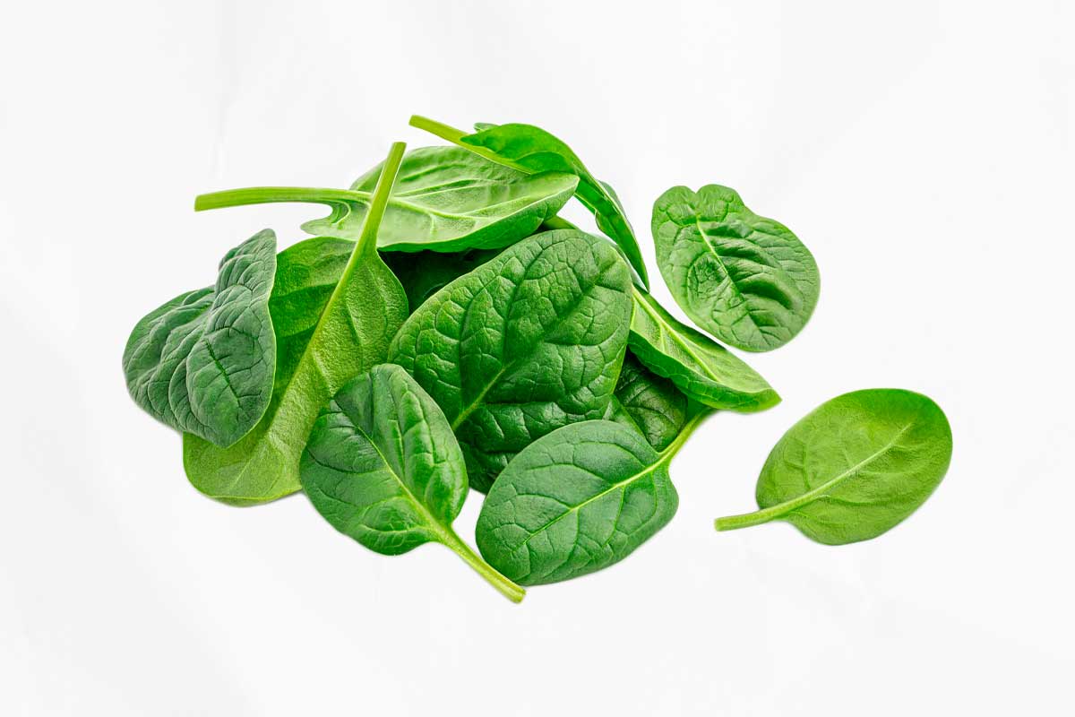 A bunch of spinach, as illustration of how to choose the right salad greens for you.