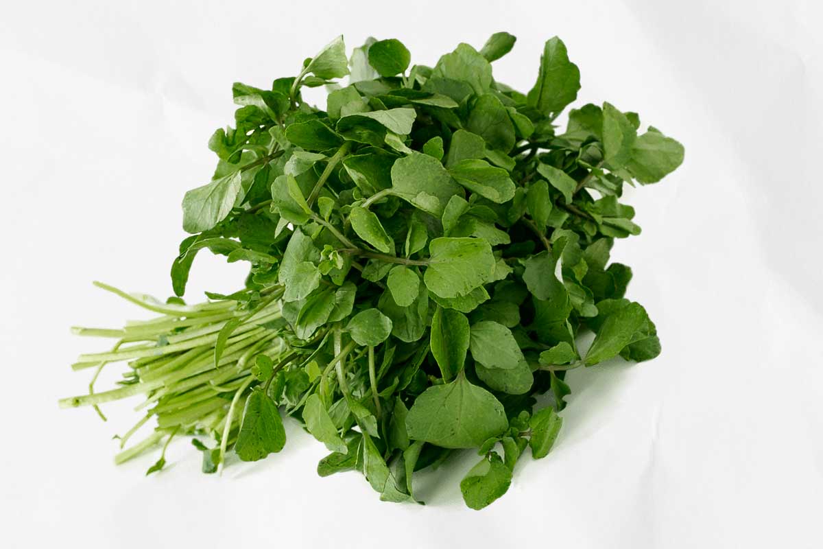 A bunch of watercress, as illustration of how to choose the right salad greens for you.