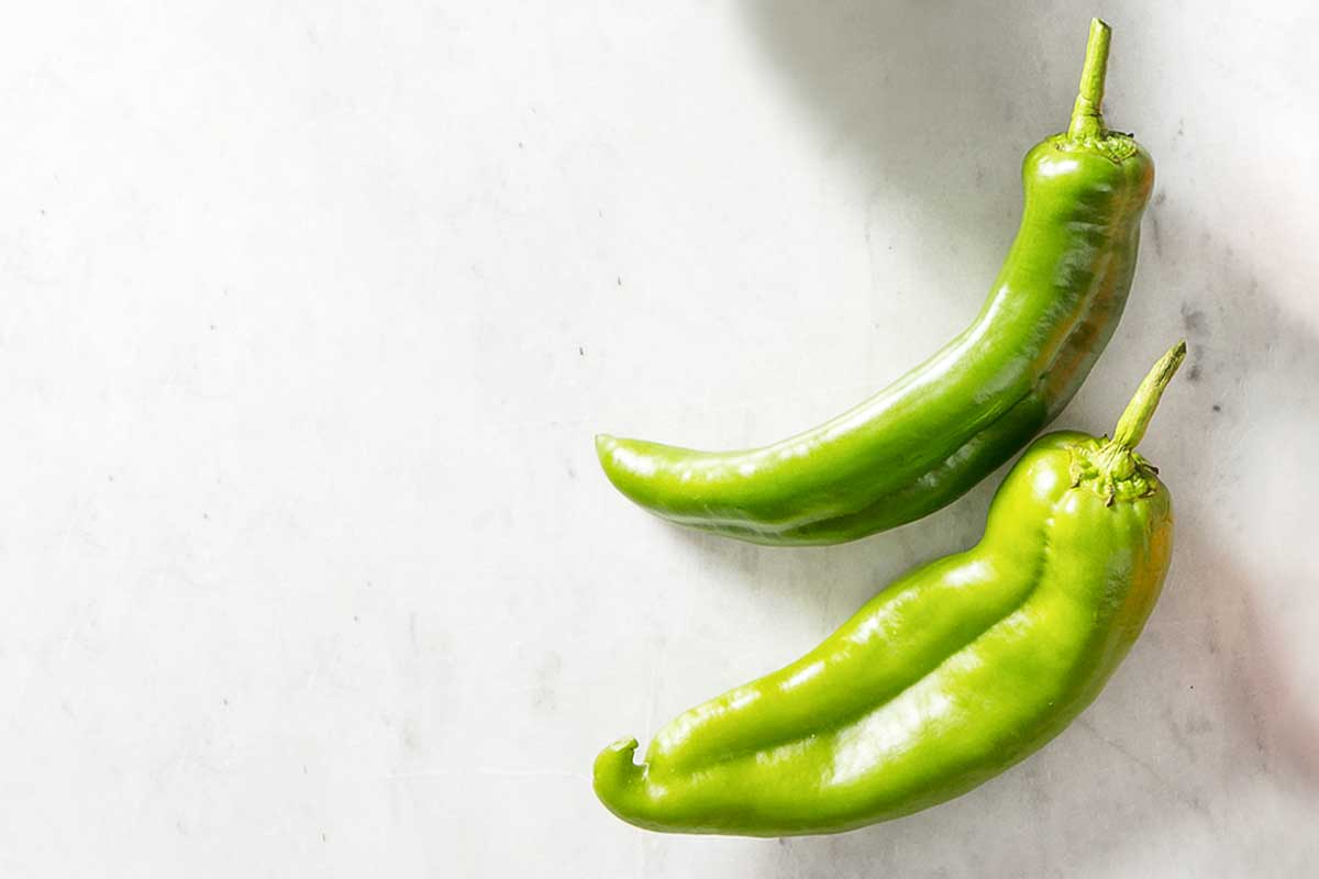 Two shishito peppers as illustration for 'what's the difference among chile peppers?'