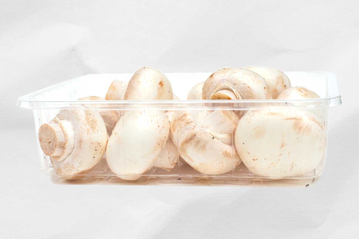 In a open container, one way to store mushrooms so they don't get slimy.