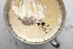 Vanilla seeds added to Swiss meringue buttercream.