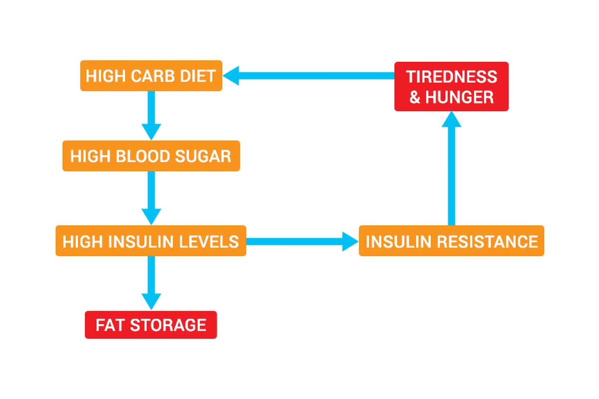 A flow chart explaining insulin resistance for the Gary Taubes interview.