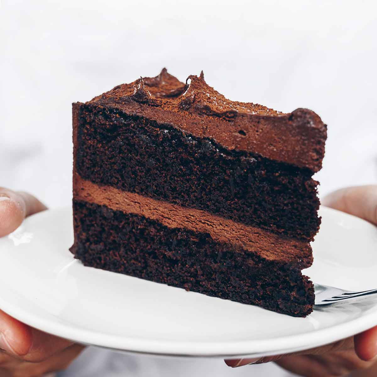 A person holding a plate with a slice of basic chocolate cake on it.