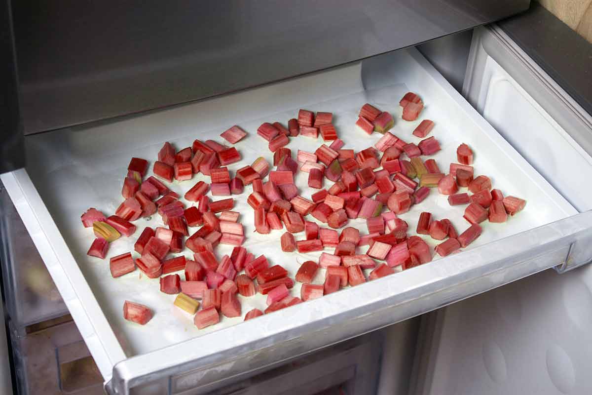 Pieces of rhubarb being frozen.