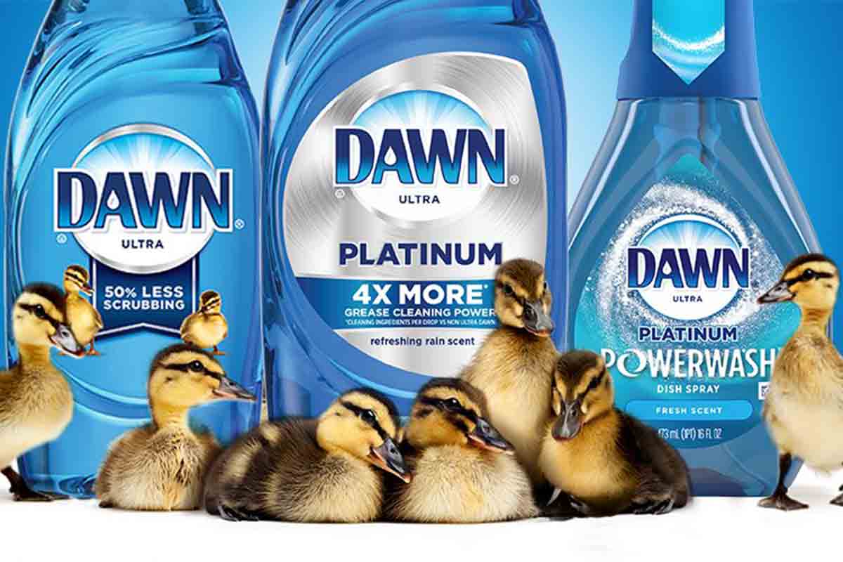 Three bottles of Dawn detergent behind five ducks