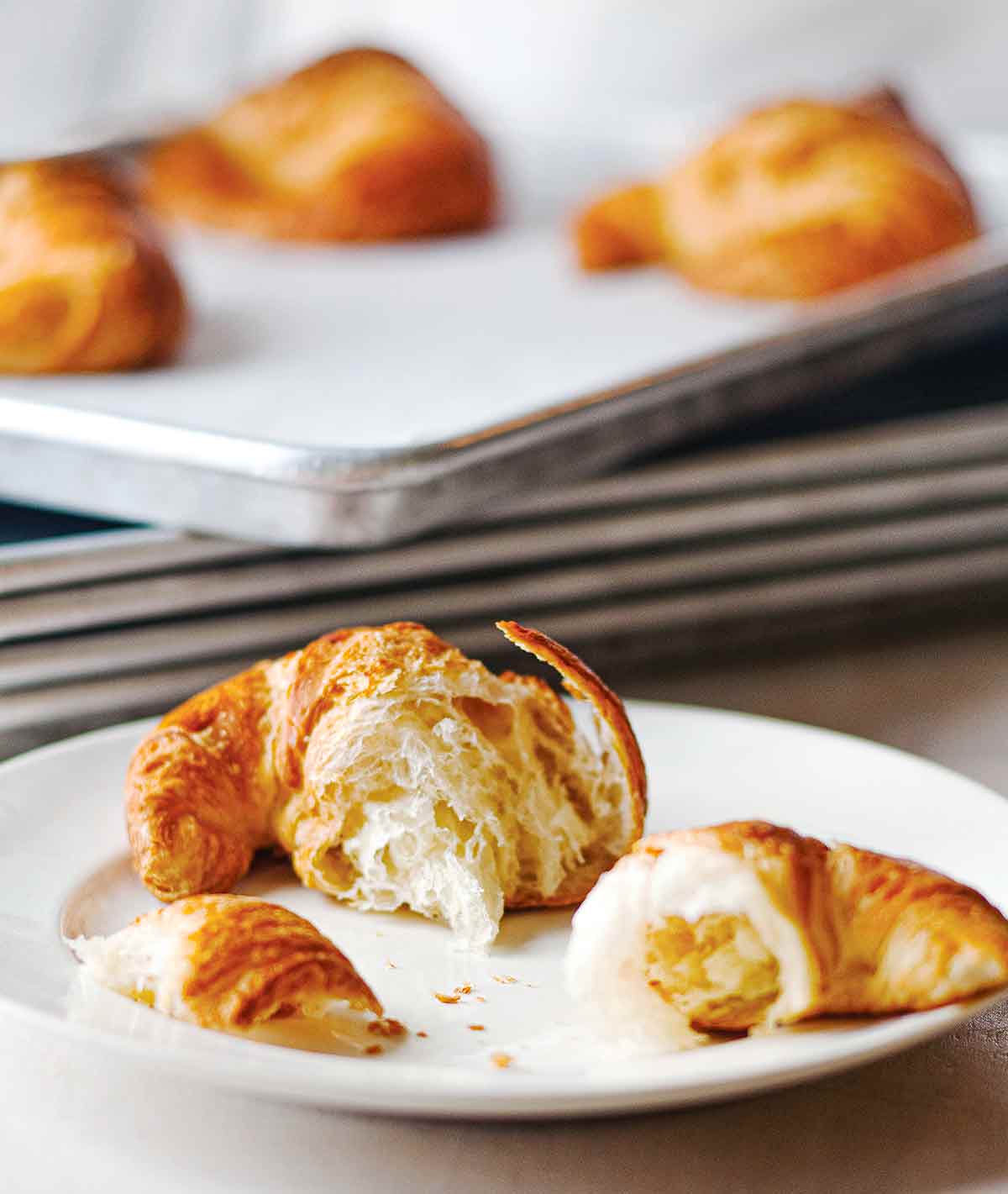 A torn croissant on a plate with more croissants on a rimmed baking sheet in the background.