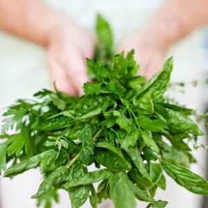 A man's hands holding a bunch of herbs.