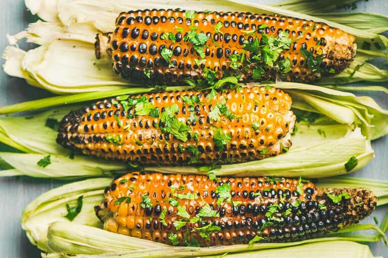 Five ears of grilled corn on the cob in their husks, sprinkled with cilantro.