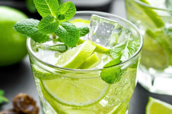 A glass of Mexican mojito with lime slices floating in it and a mint sprig garnish.