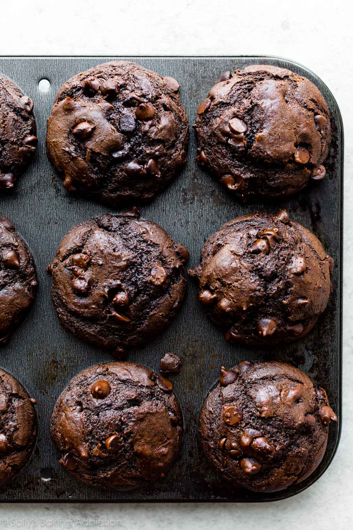 A baking tray of double-chocolate muffins with chocolate chips.
