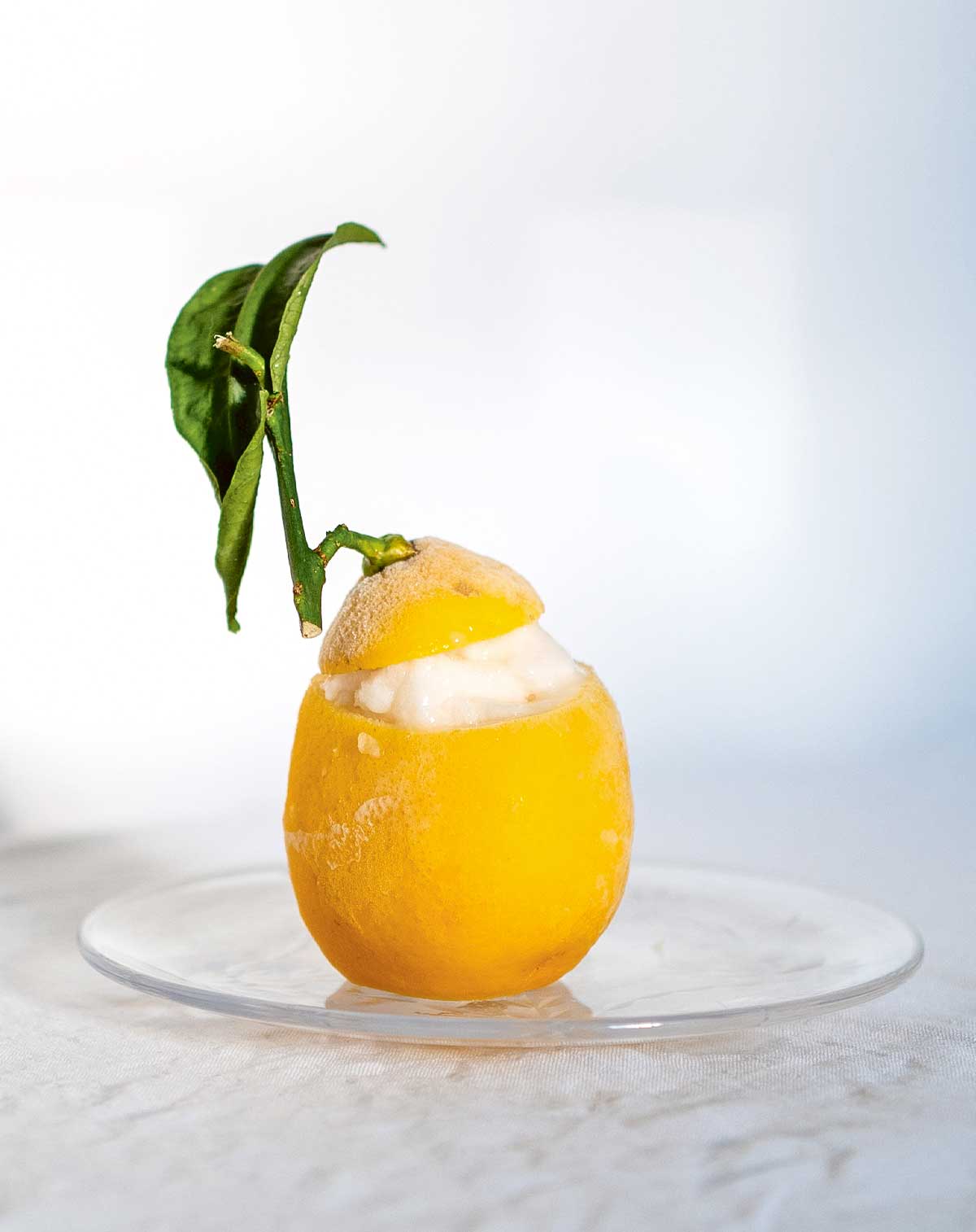 A frosty, hollowed out lemon wih leaf, filled with pale lemon sorbet on a glass plate.