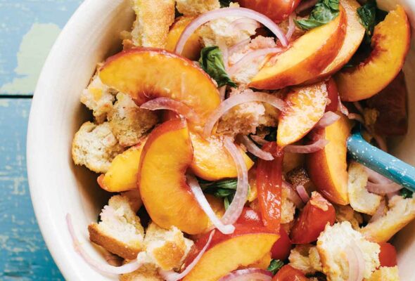 A blue background with a white bowl filled with sliced peaches, tomatoes, red onions, basil, and chunks of bread.