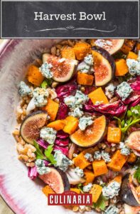 A red and white bowl filled with cubes of squash, shreds of raddichio, slices of figs, crumbles of blue cheese, and farro.