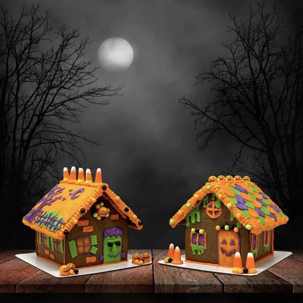 Halloween Haunted House Kit with moon.