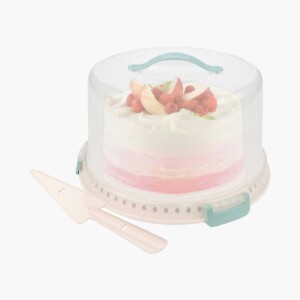 Cake Carrier with Lid with colorful ombre cake.