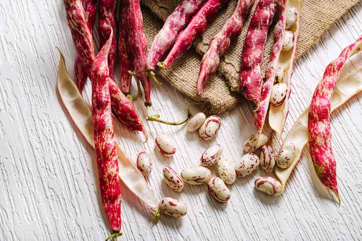 Several red cranberry pods and dried red-speckled beans on a white piece of wood