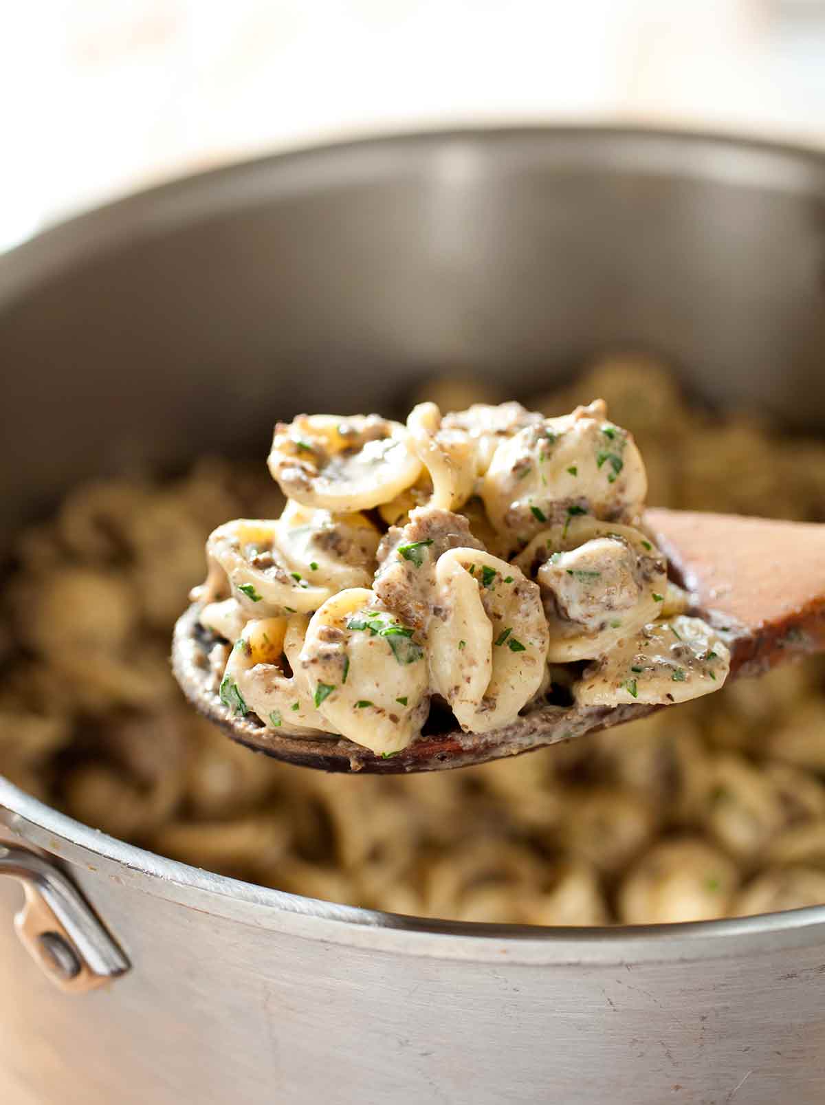 A wooden spoon full of pasta noricina