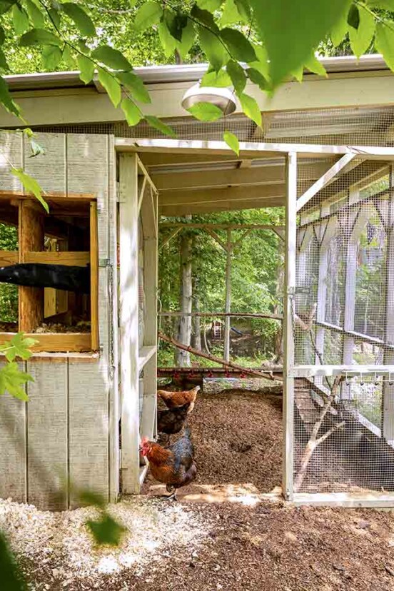 A chicken coop structure
