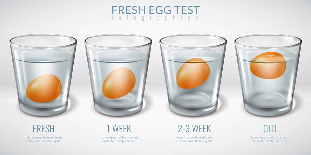 Four glasses of water with eggs of different ages inside each