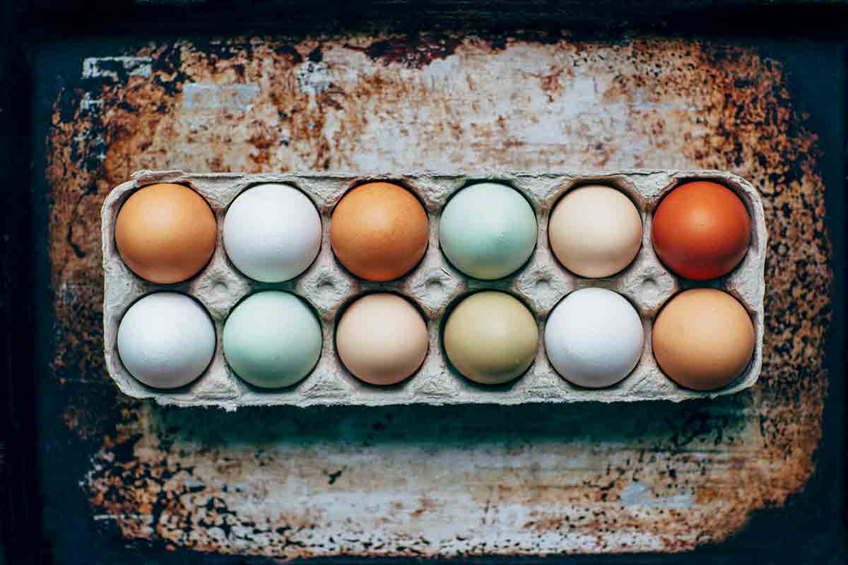 A carton of white, brown, and blue eggshells