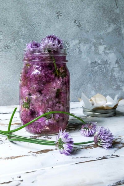 A Ball jar filled with chive blossom vinegar and the blossoms. In front, some blooming chives.