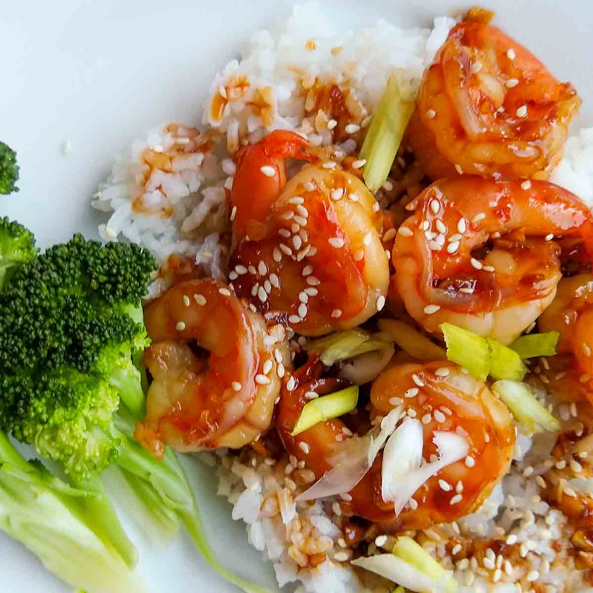 Glazed shrimp on white rice, topped with scallions, and steamed broccoli on the side.
