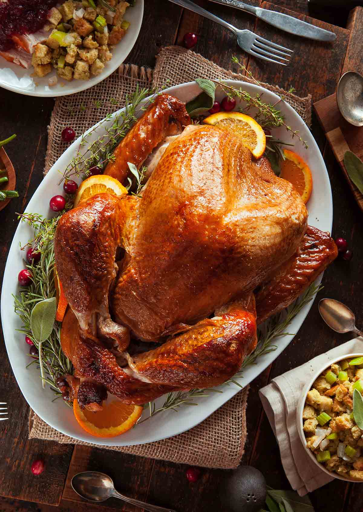 A whole roast turkey on an oval serving platter with cranberries, fresh herbs, and orange slices tucked around it.