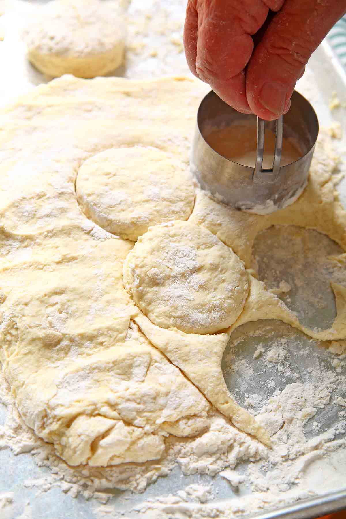 A person using a biscuit cutter to cut out biscuit rounds from dough.