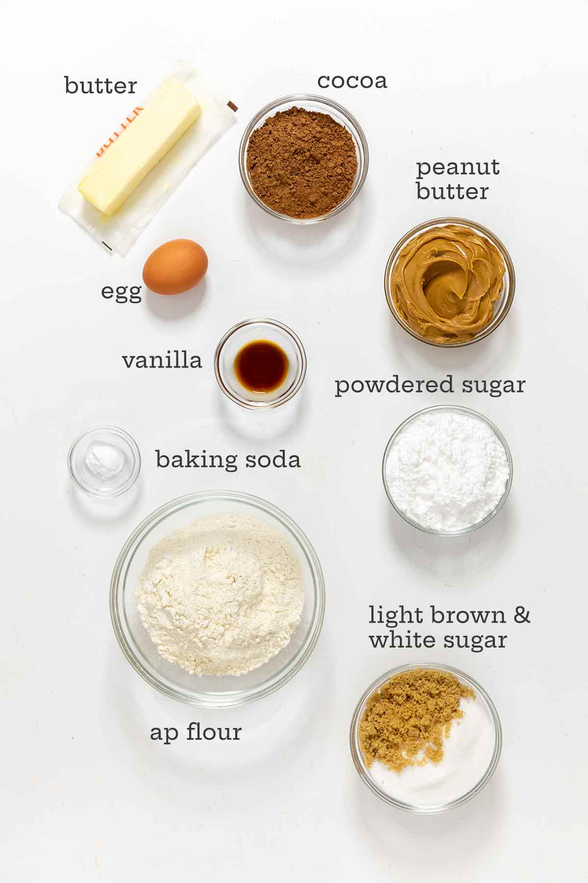 The ingredients for chocolate peanut butter cookies--flour, sugar, brown sugar, peanut butter, cocoa, butter, egg, vanilla, and salt.