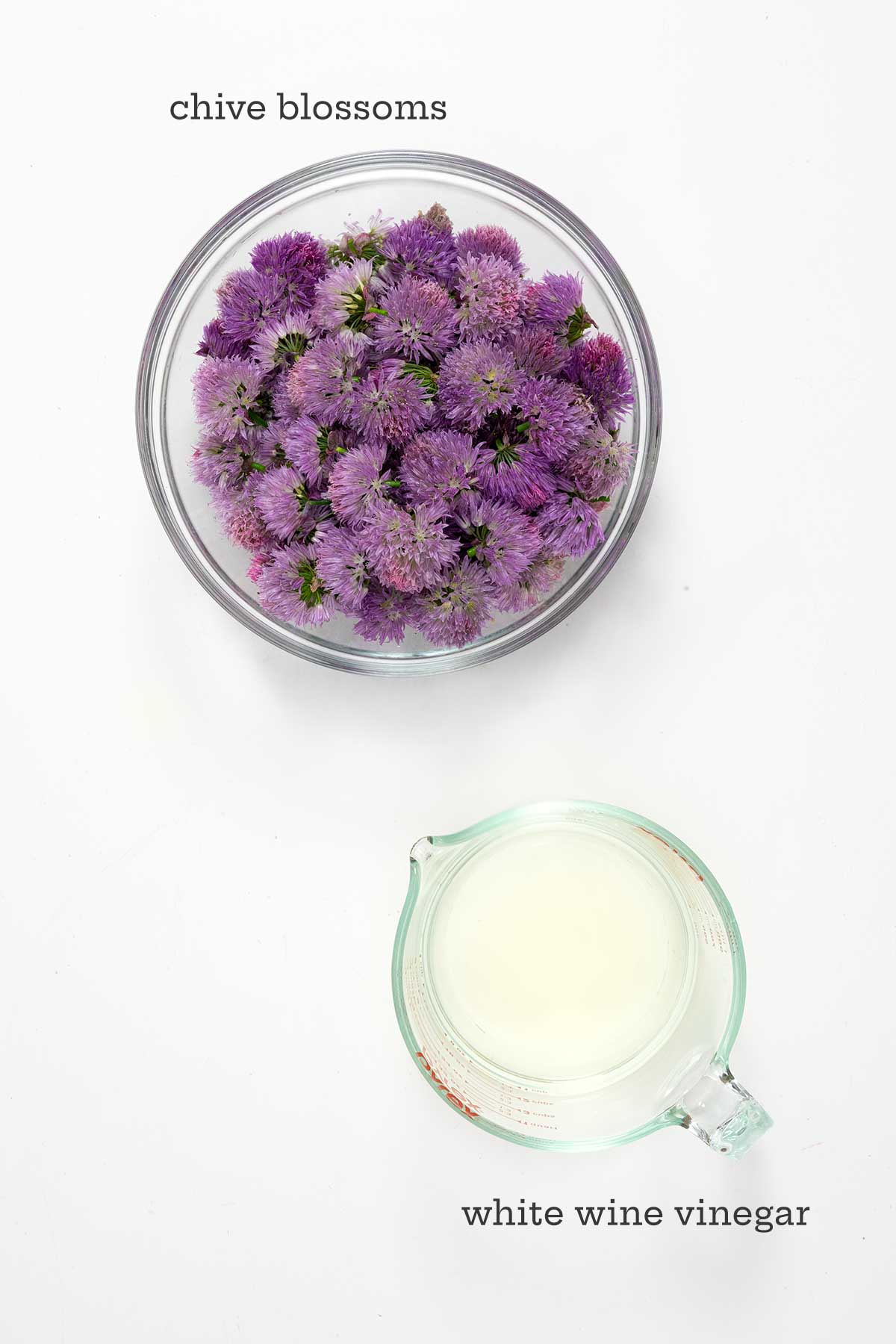 Ingredients for chive blossom vinegar--chive blossoms and white wine vinegar.