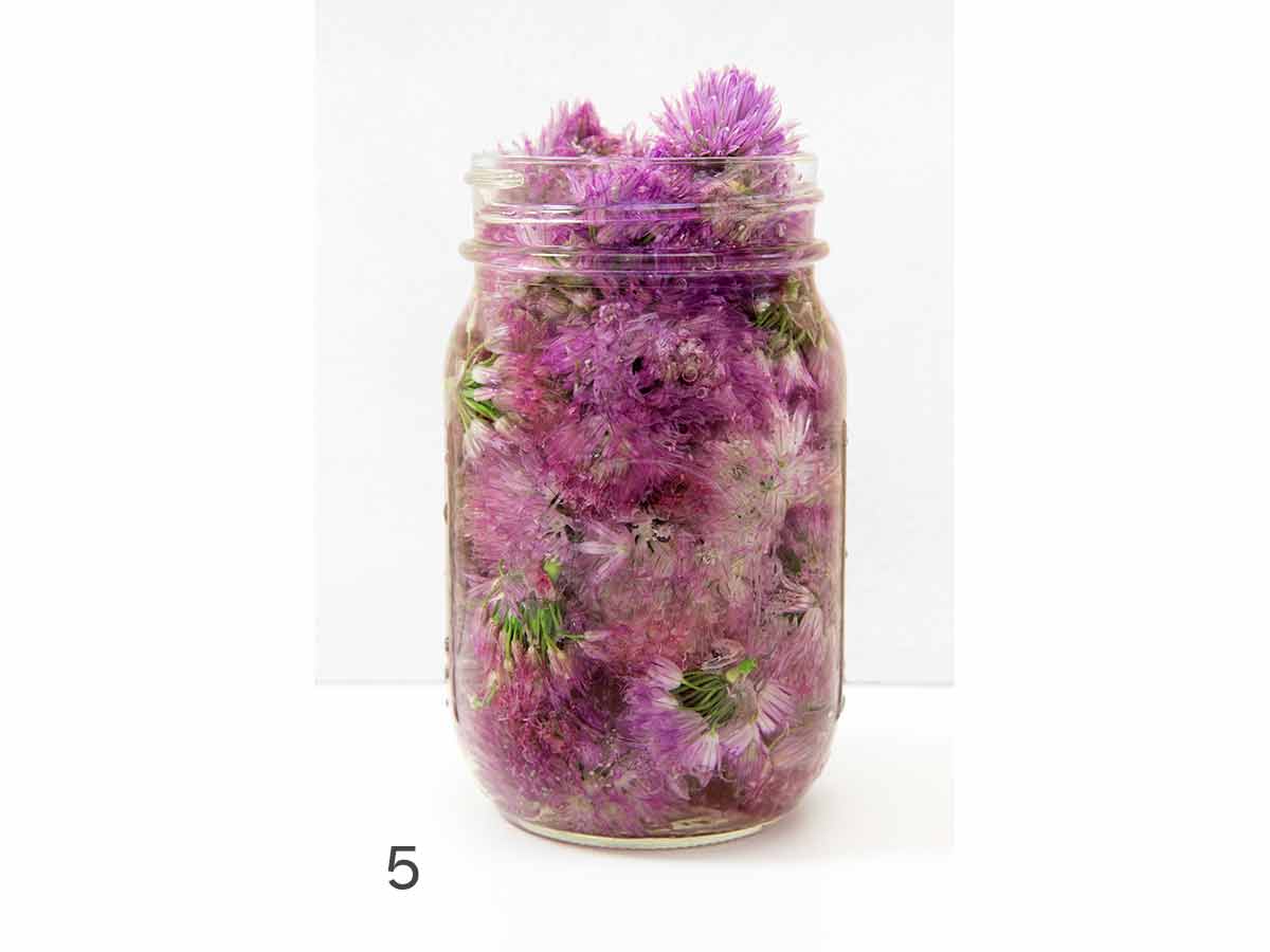 A jar packed full of chive blossoms.