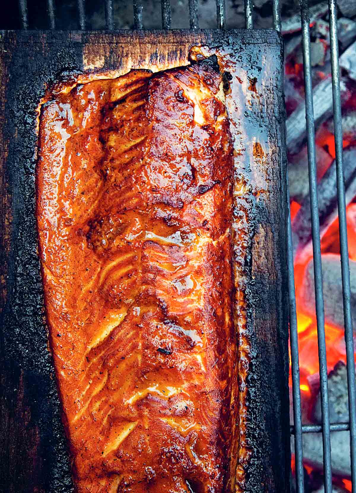 A fillet of grilled salmon on a cedar plank over hot coals.